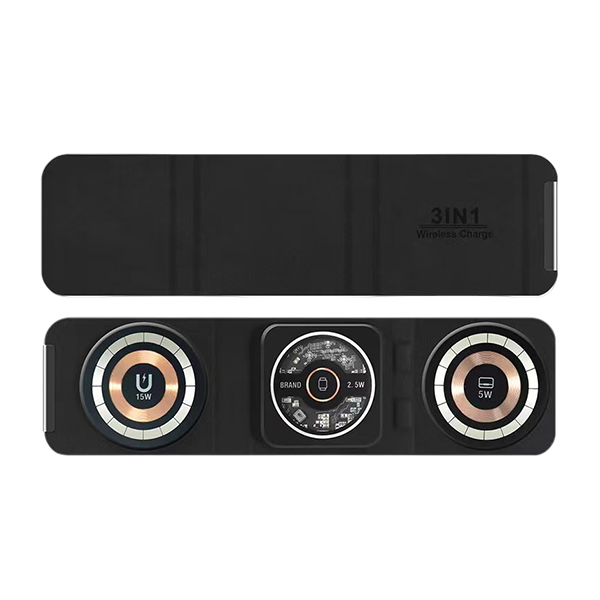 MIC-FL02C